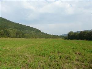 Pohľad na psiarkovú lúku na TML_6510_256 Žiar nad Hronom